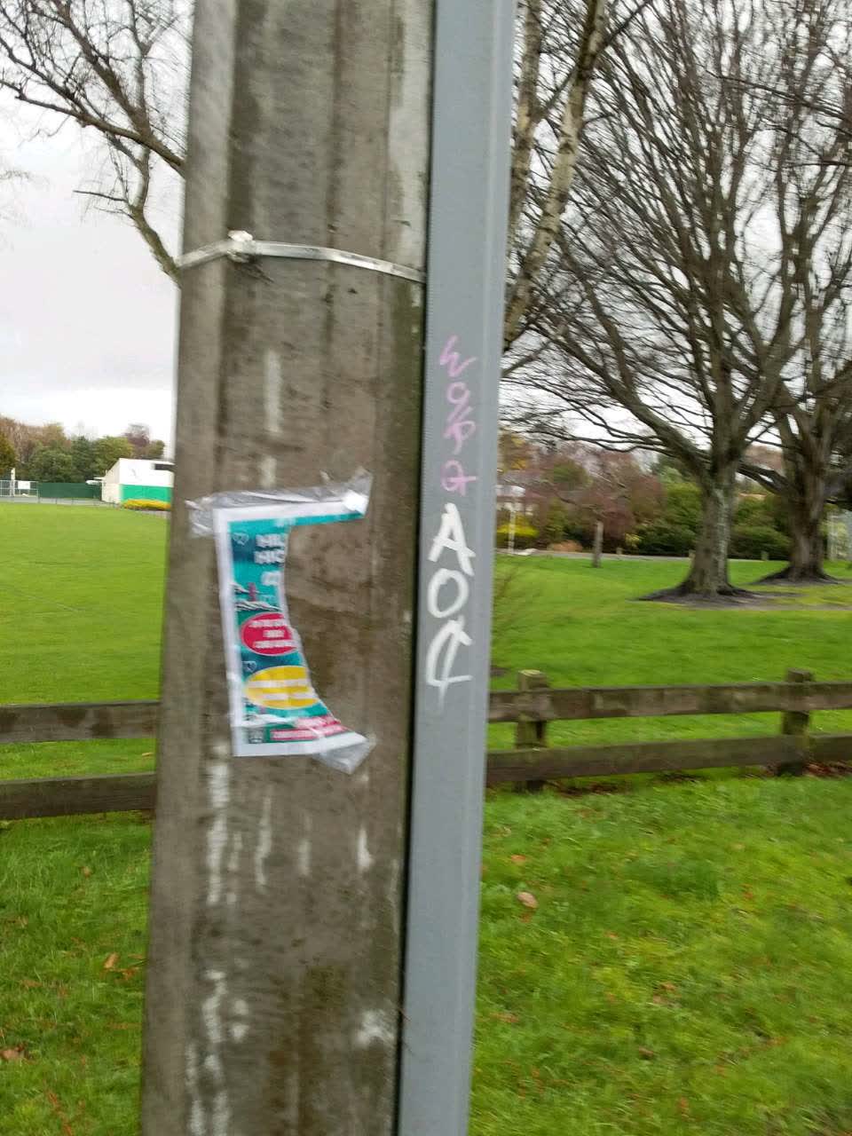 The photograph attached to this graffiti report