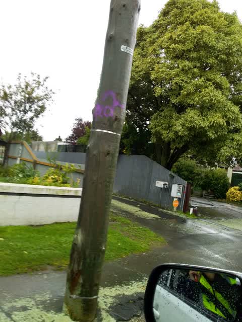 Graffiti, a report photo