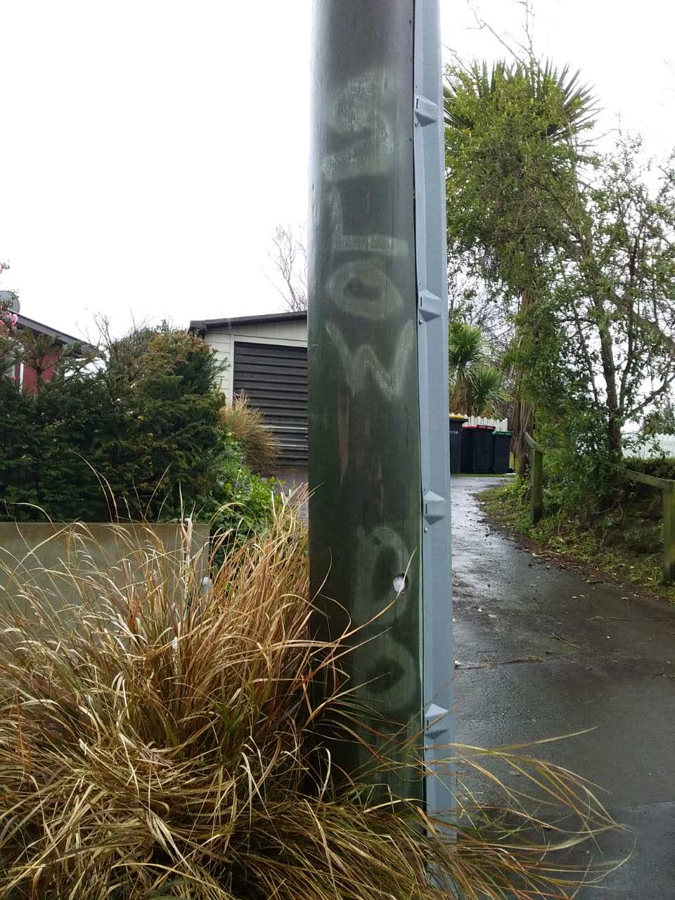 The photograph attached to this graffiti report