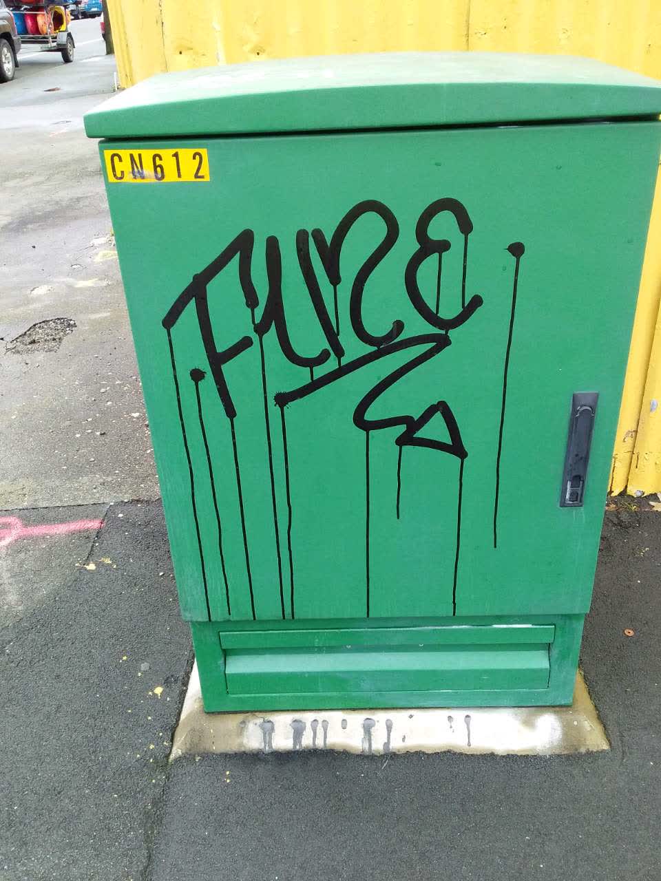 The photograph attached to this graffiti report