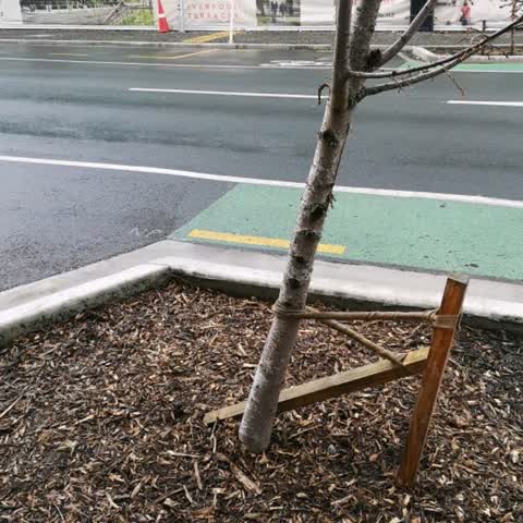 Parks, a report photo