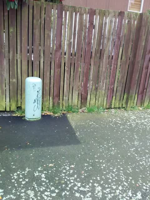 Graffiti, a report photo