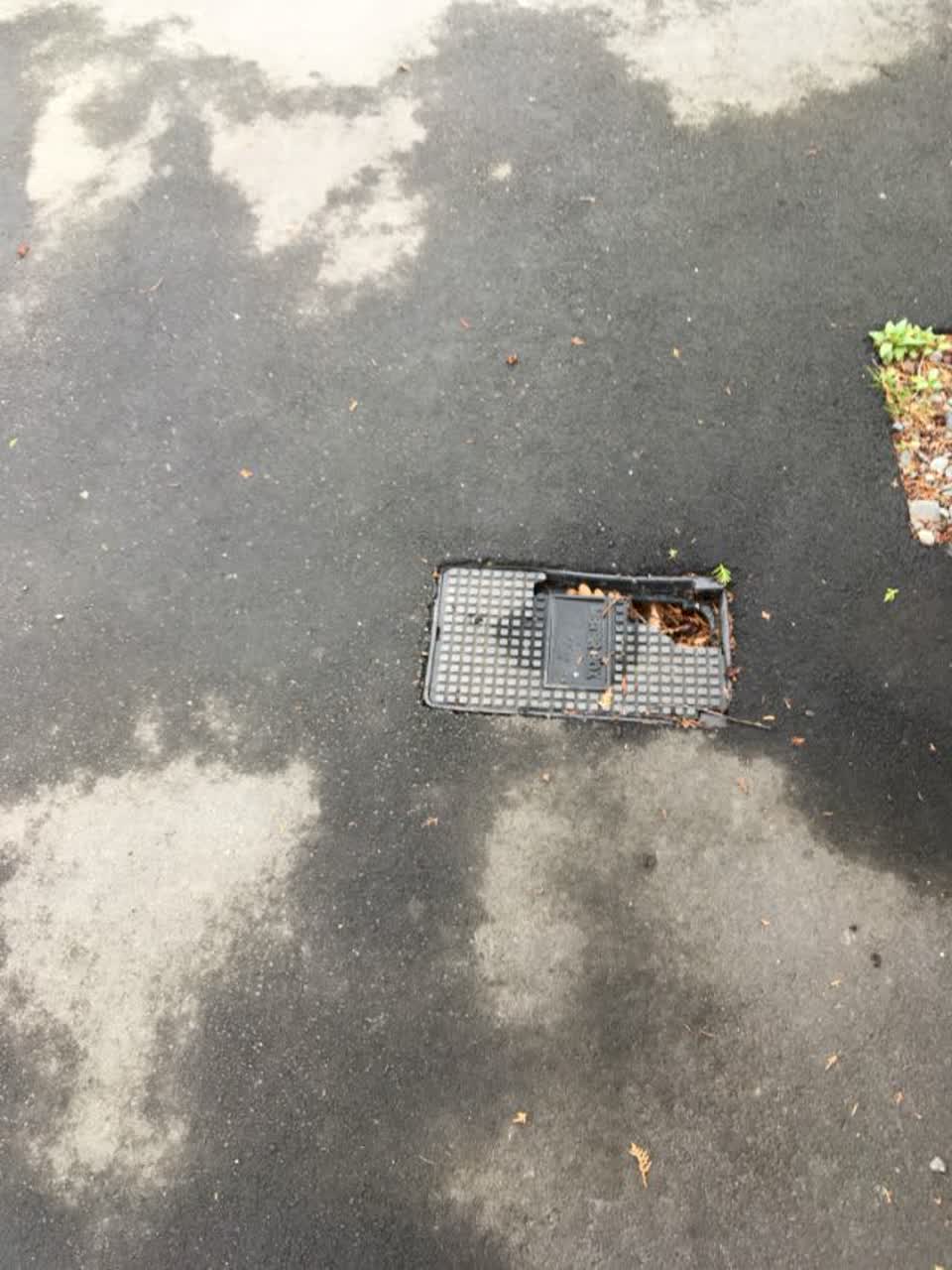 The photograph attached to this water supply report