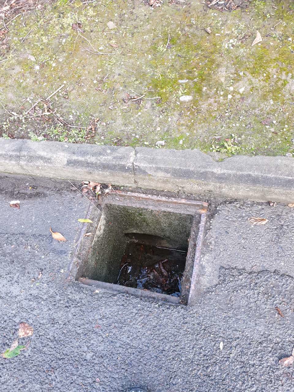 The photograph attached to this wastewater/stormwater report