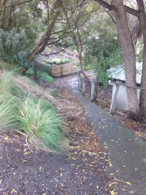 Wastewater/Stormwater, a report photo