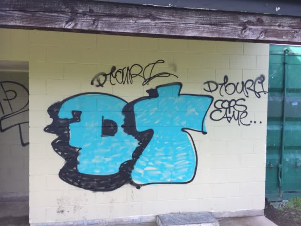 The photograph attached to this graffiti report