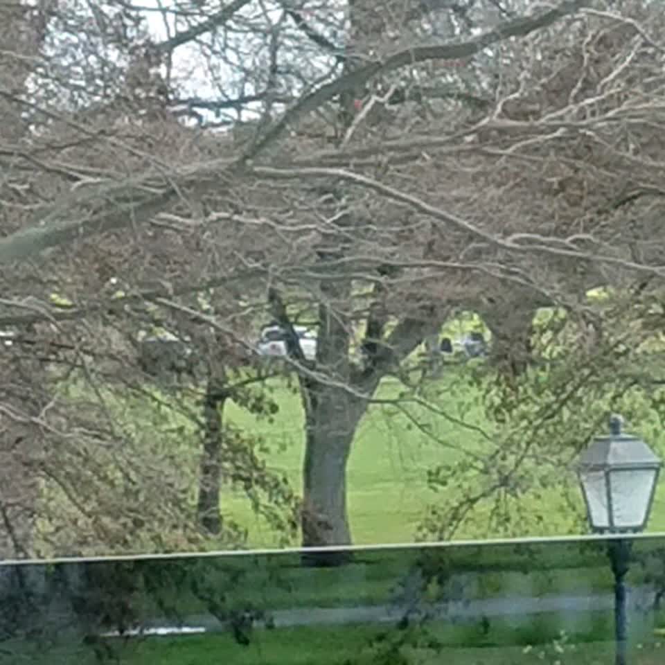The photograph attached to this parks report
