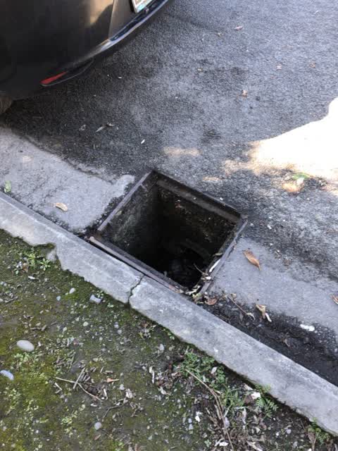 Roading/Streets, a report photo