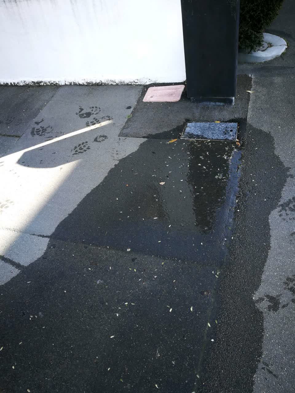 The photograph attached to this water supply report