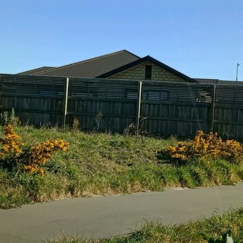 Parks, a report photo