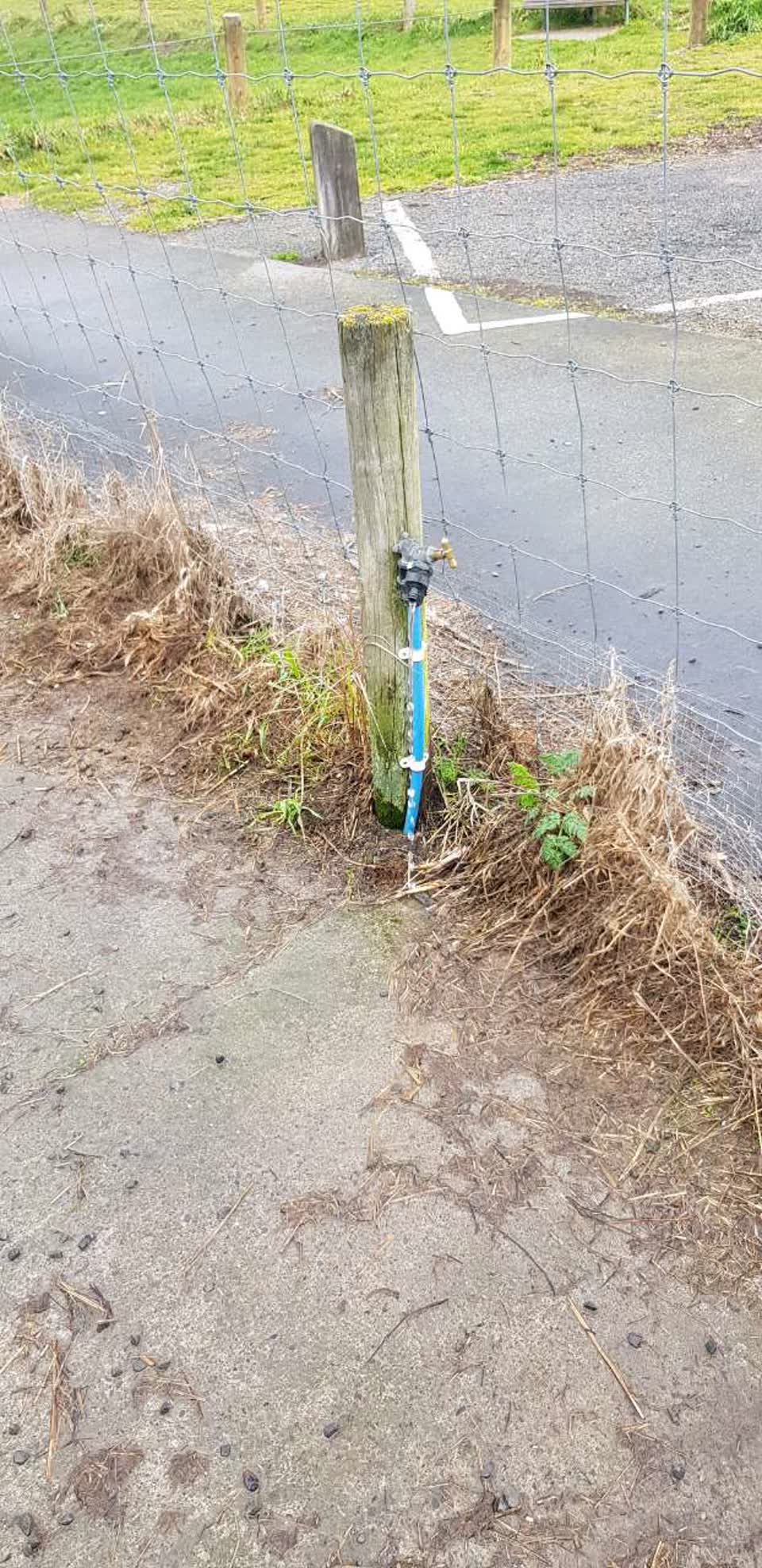 The photograph attached to this water supply report