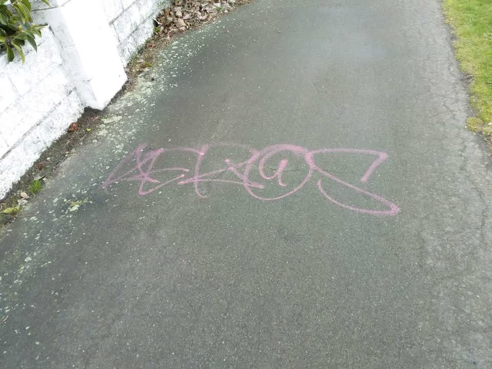 The photograph attached to this graffiti report