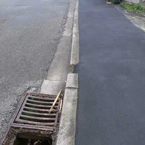 Wastewater/Stormwater, a report photo