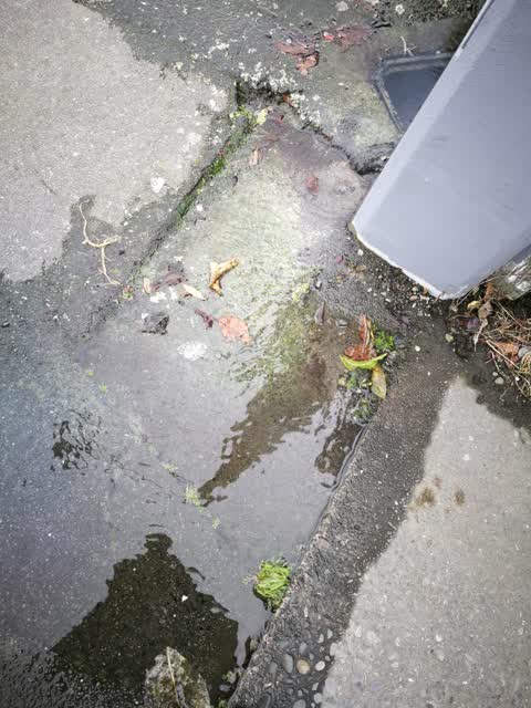 Water Supply, a report photo
