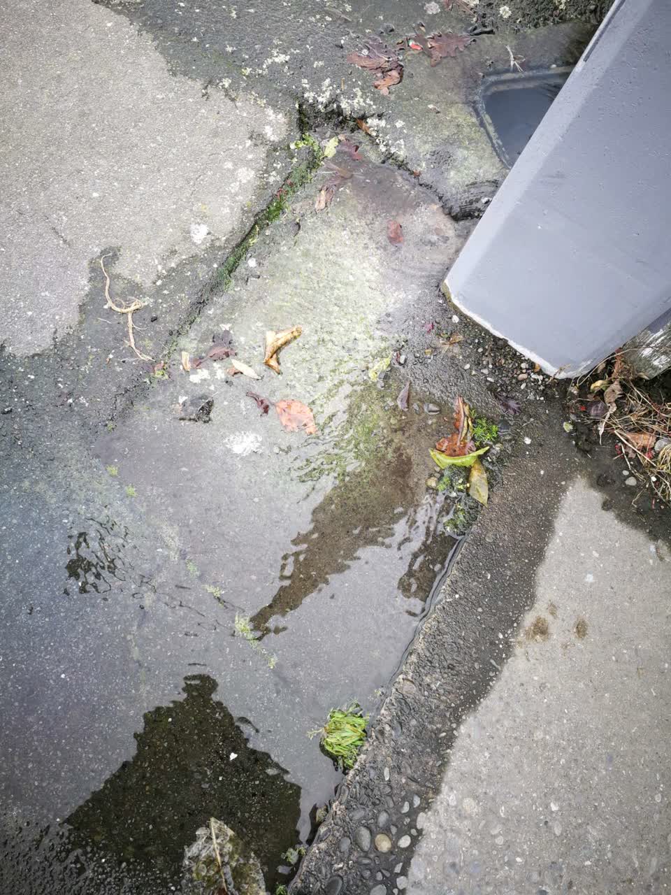 The photograph attached to this water supply report