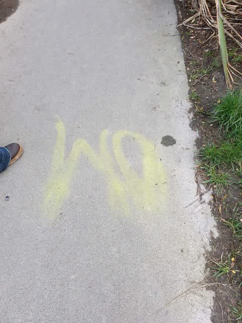 Graffiti, a report photo