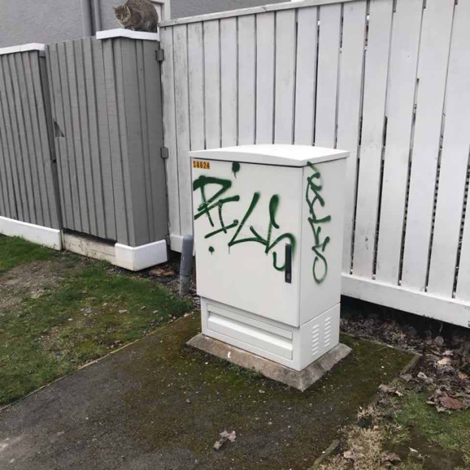 The photograph attached to this graffiti report