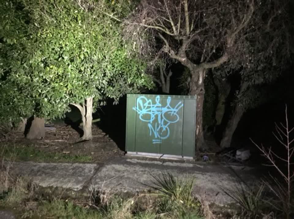 The photograph attached to this graffiti report