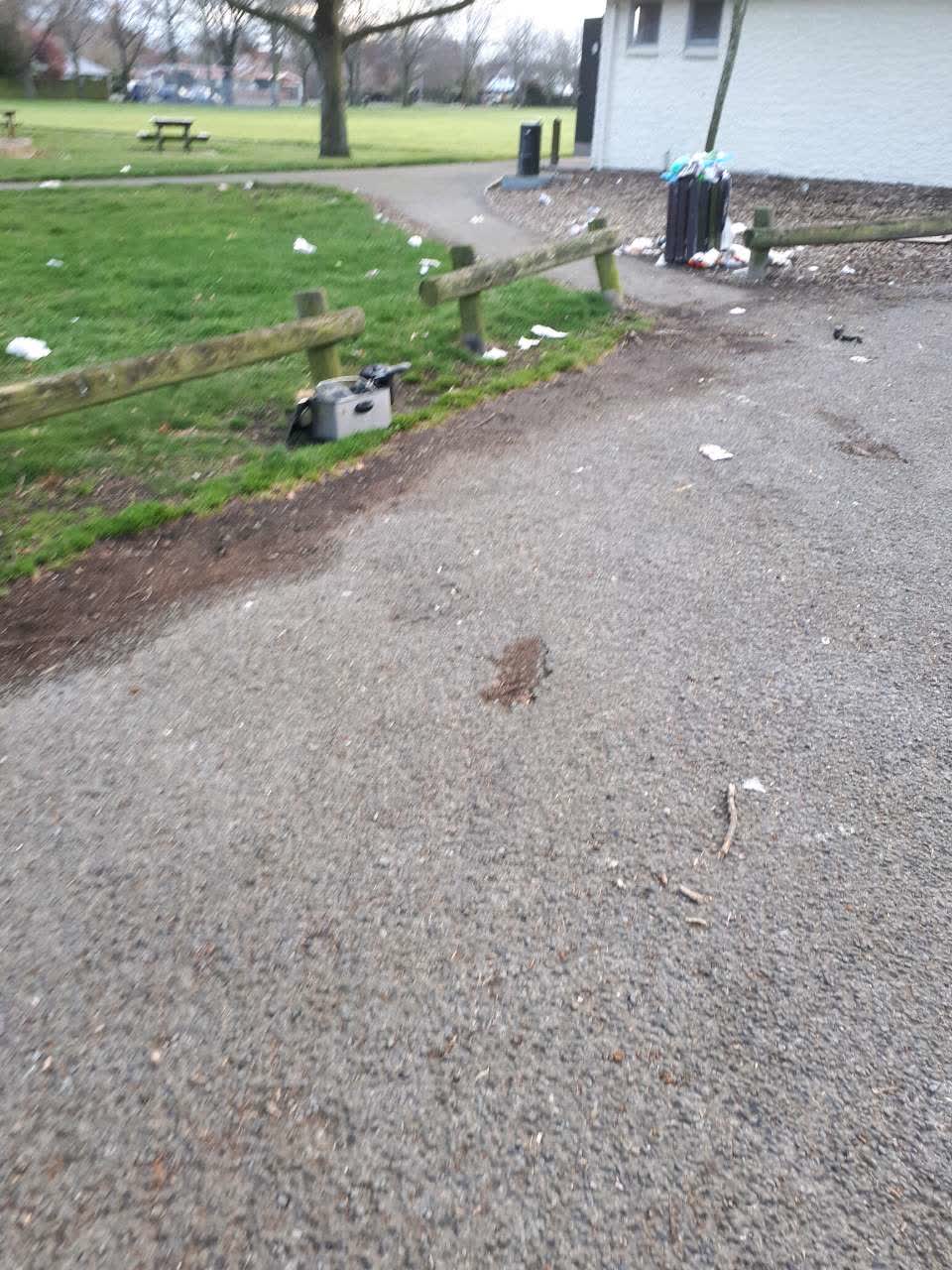 The photograph attached to this parks report