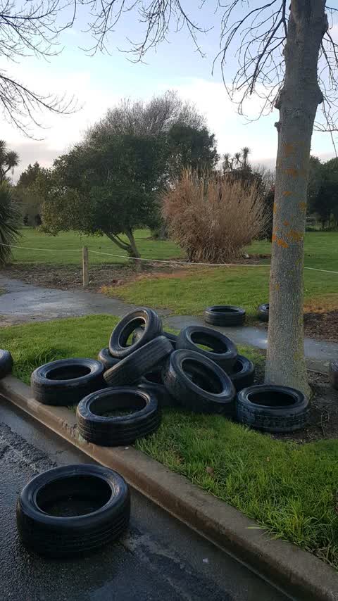 Rubbish/Recycling, a report photo