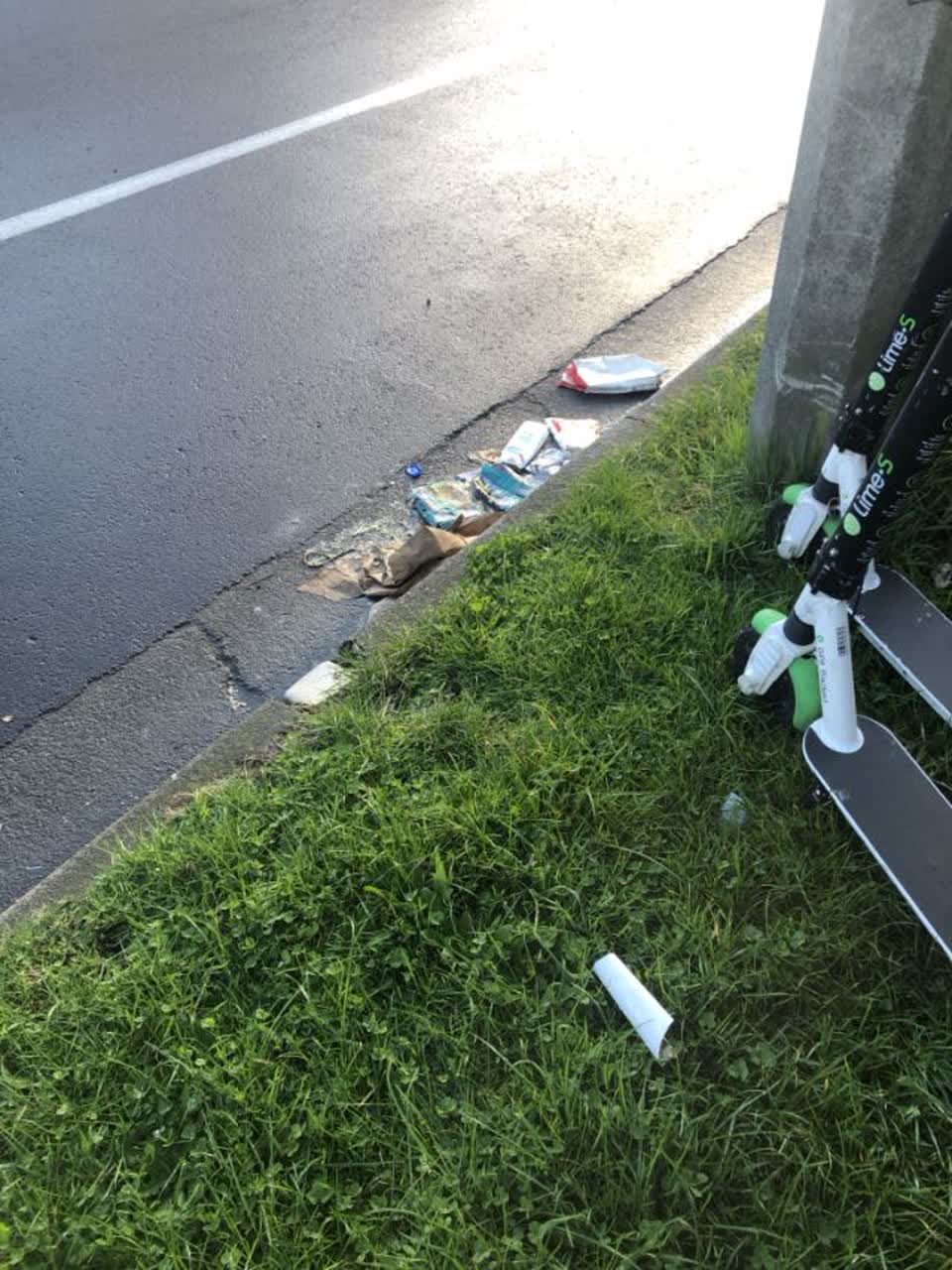 The photograph attached to this rubbish/recycling report