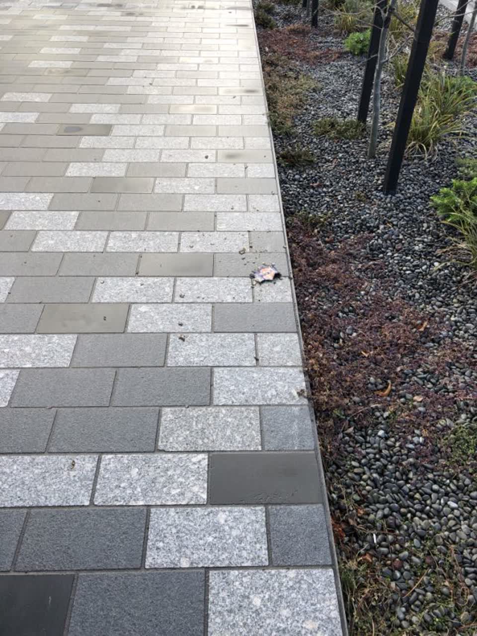 The photograph attached to this roading/streets report