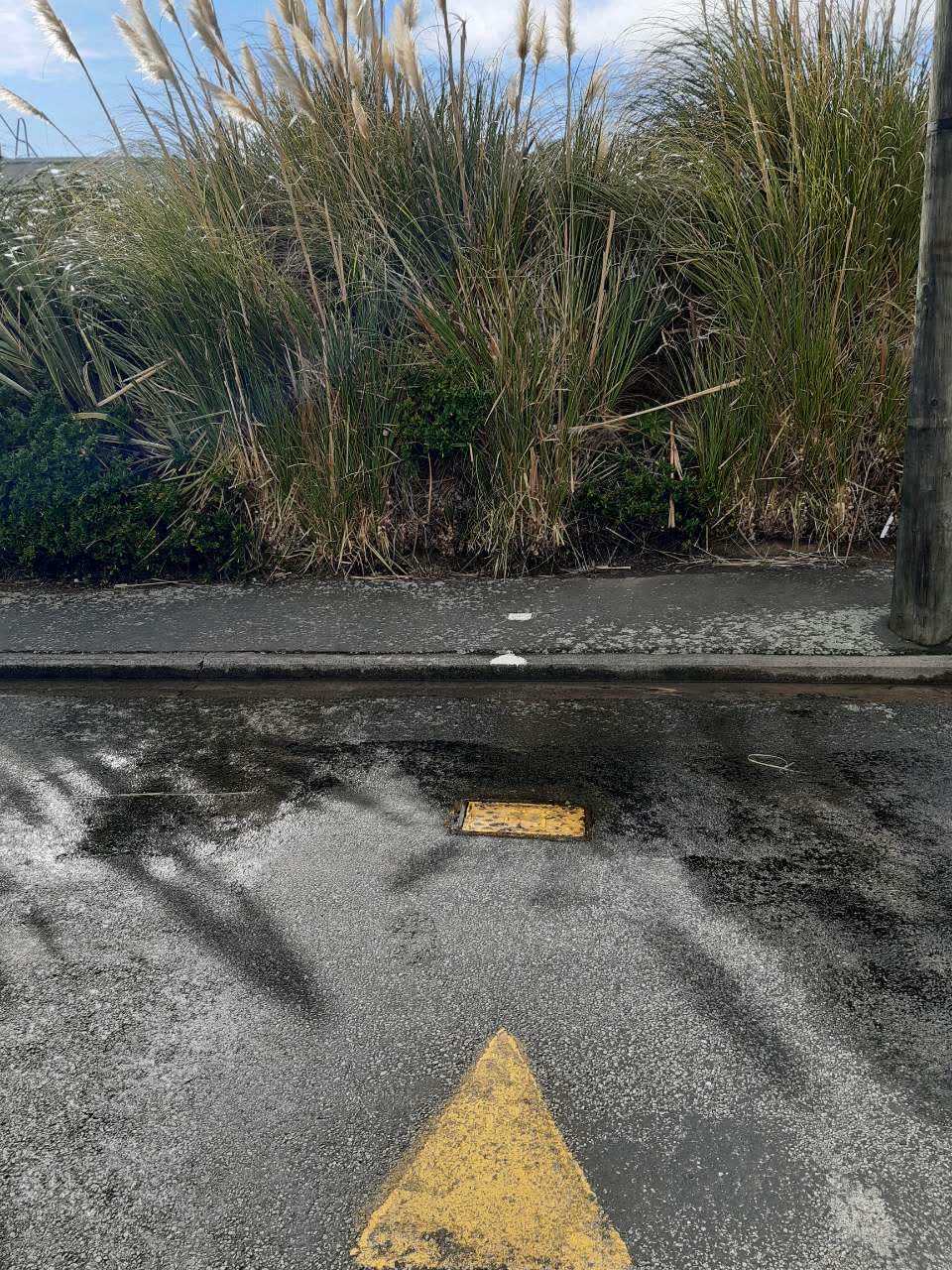The photograph attached to this water supply report