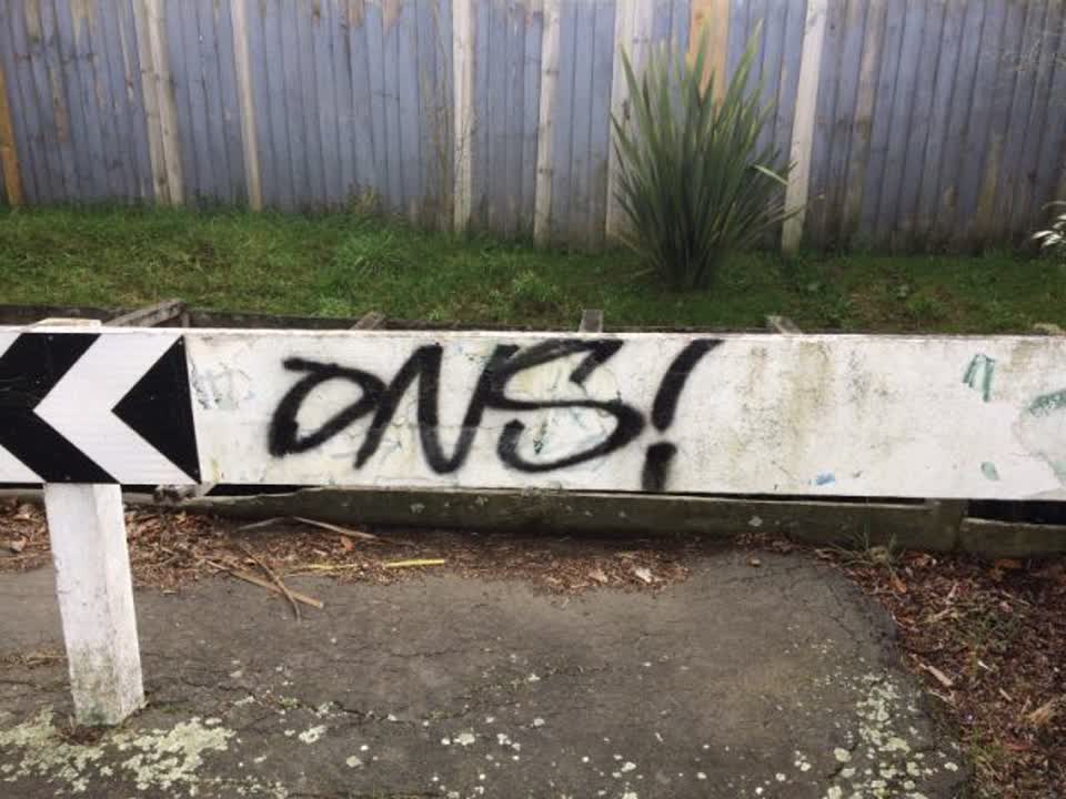 The photograph attached to this graffiti report