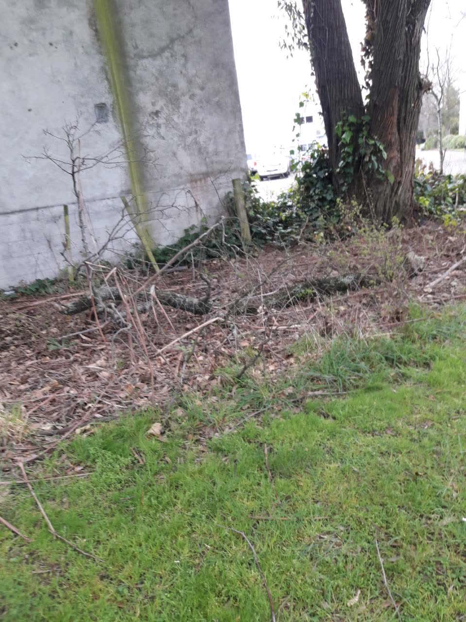 The photograph attached to this parks report