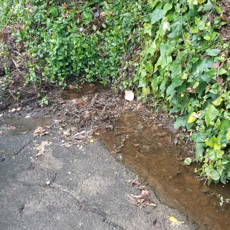 The photograph attached to this wastewater/stormwater report