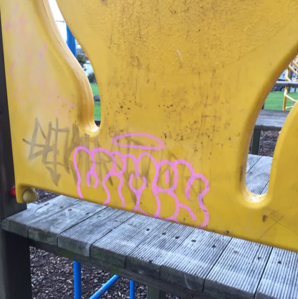 The photograph attached to this graffiti report