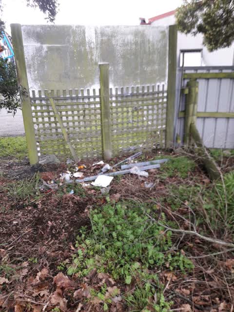Rubbish/Recycling, a report photo