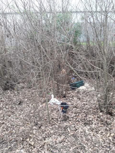 Rubbish/Recycling, a report photo