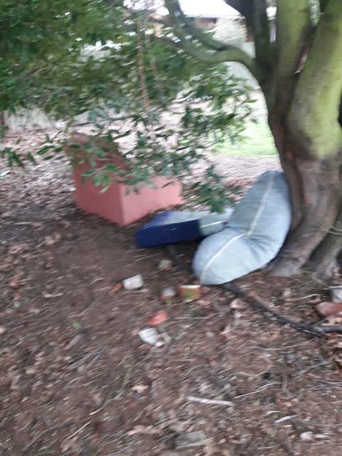 Rubbish/Recycling, a report photo