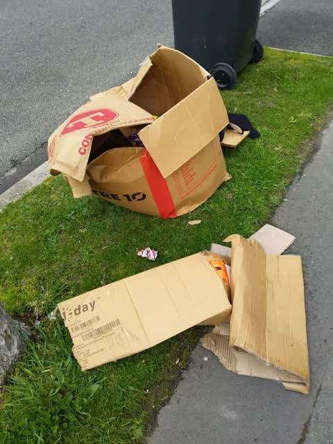Rubbish/Recycling, a report photo