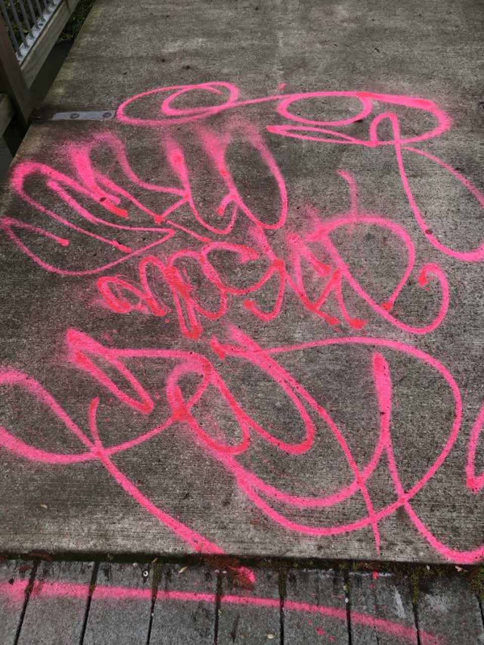 The photograph attached to this graffiti report