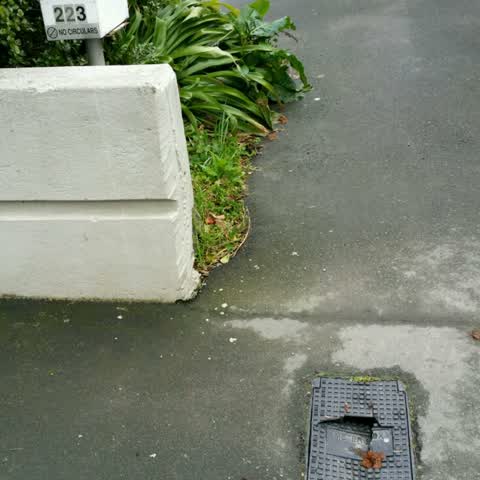 Water Supply, a report photo