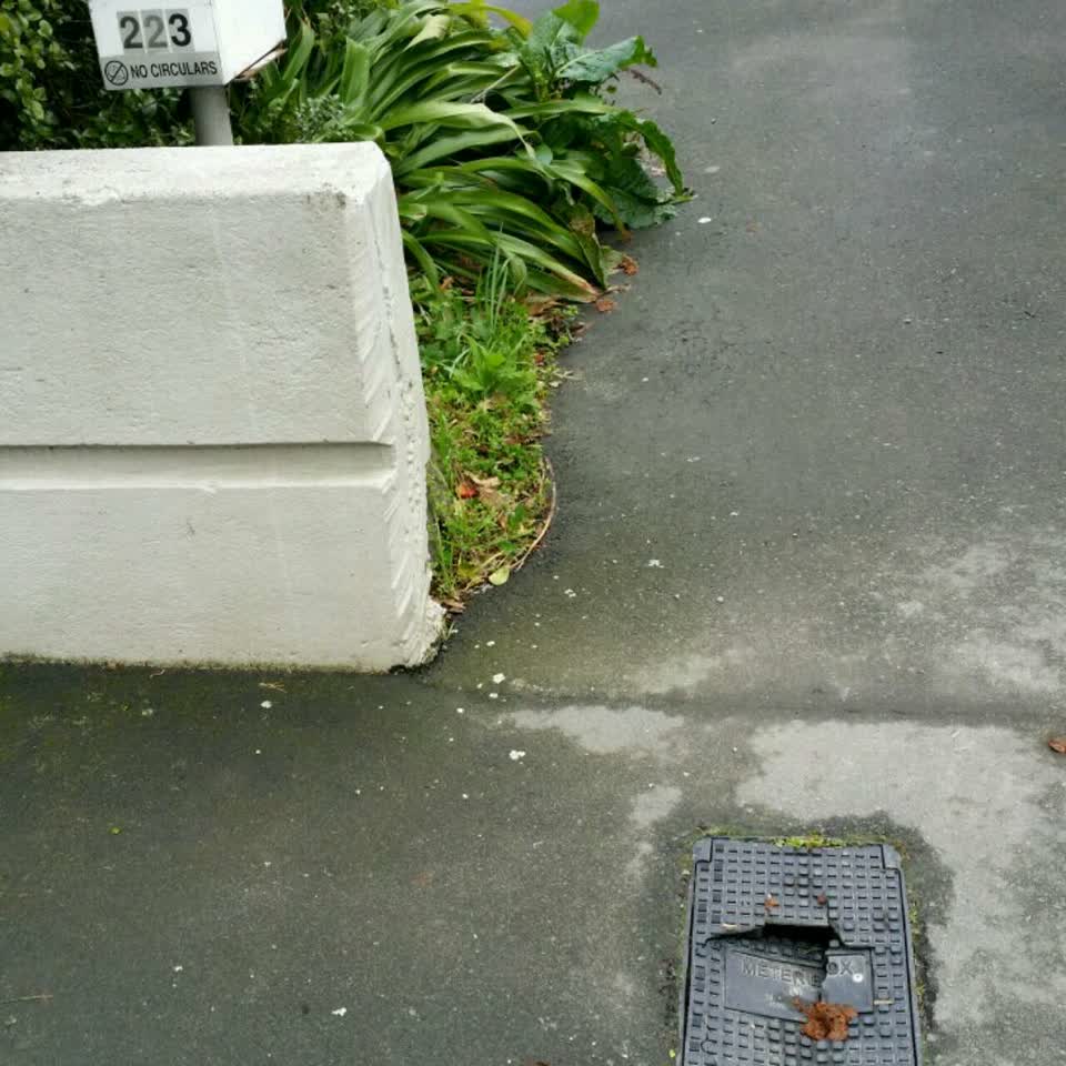 The photograph attached to this water supply report