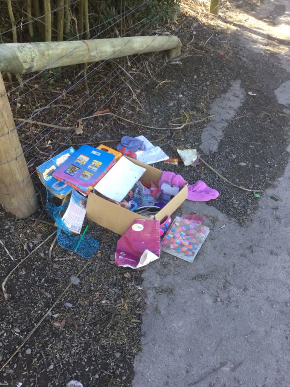 The photograph attached to this rubbish/recycling report