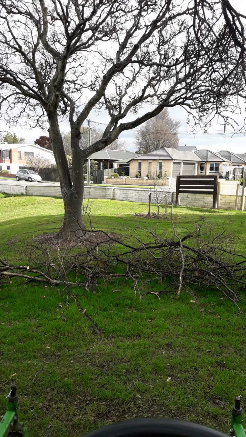 The photograph attached to this parks report