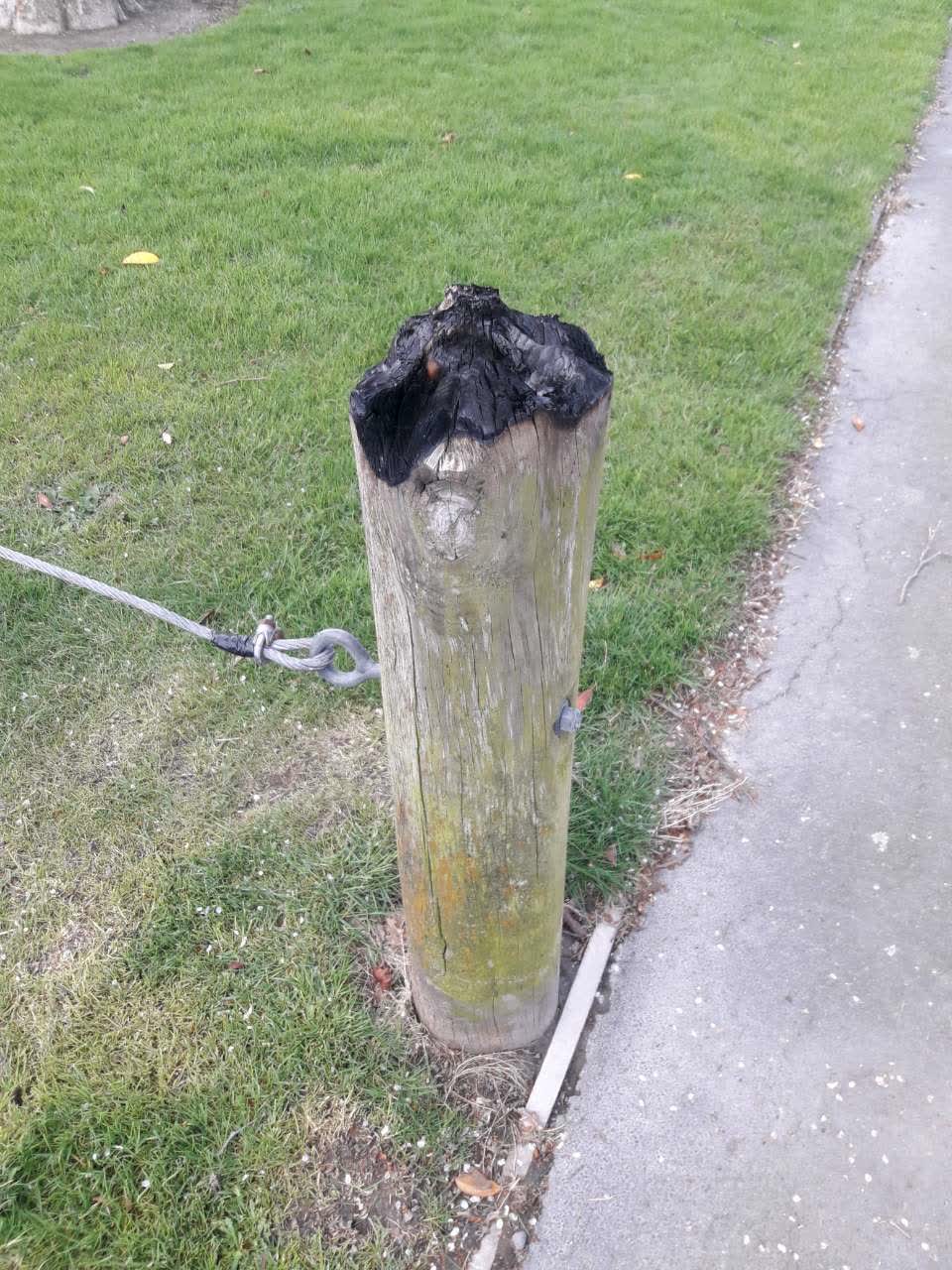 The photograph attached to this parks report