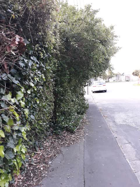 Roading/Streets, a report photo
