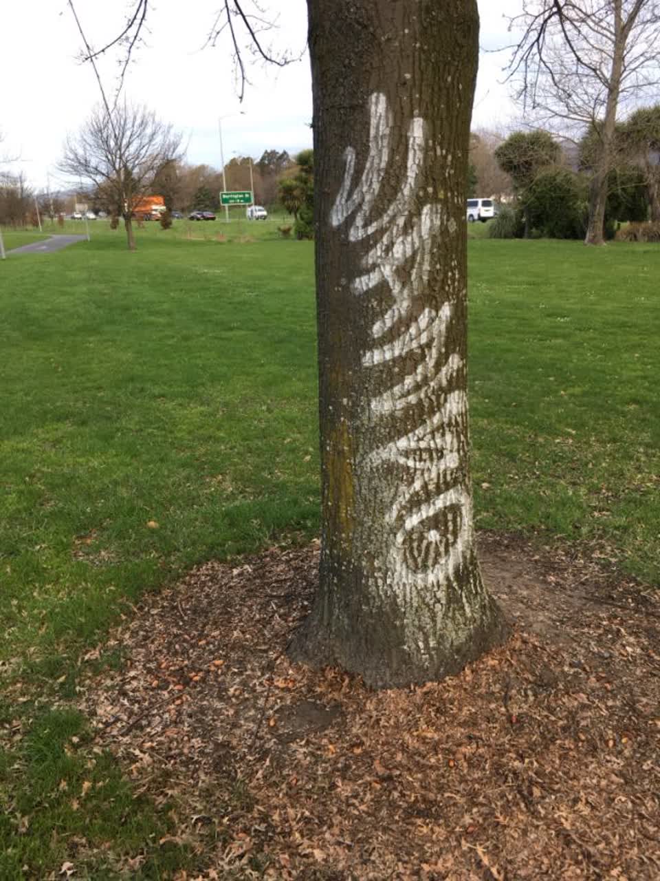 The photograph attached to this graffiti report