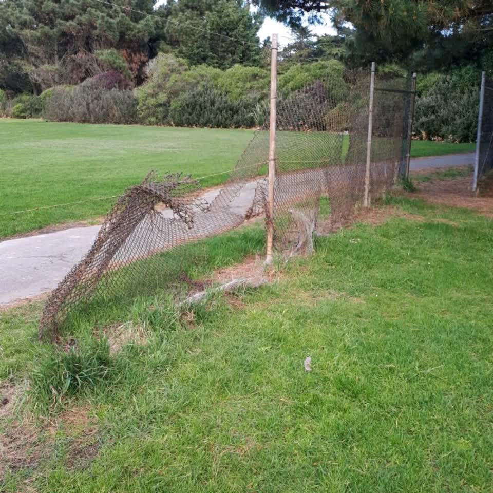 The photograph attached to this parks report
