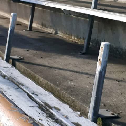 Parks, a report photo