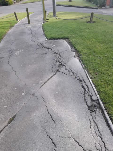 Parks, a report photo
