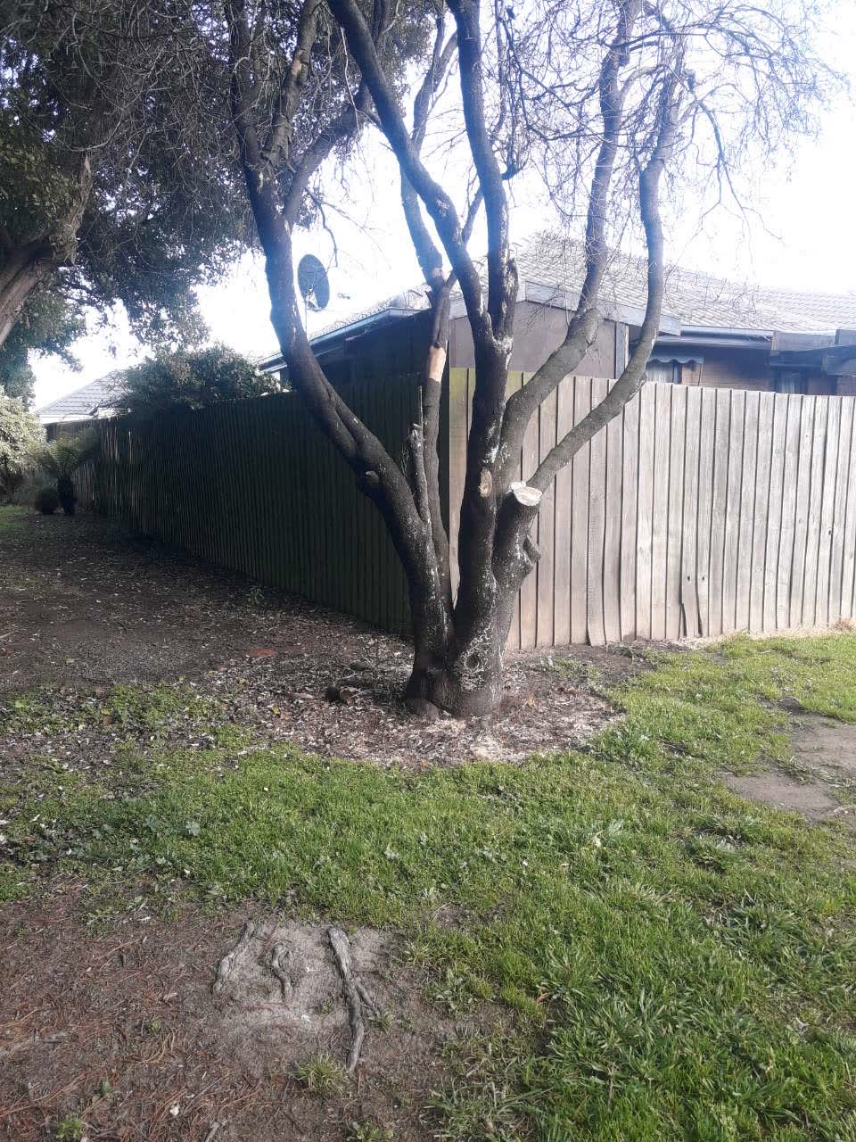 The photograph attached to this parks report