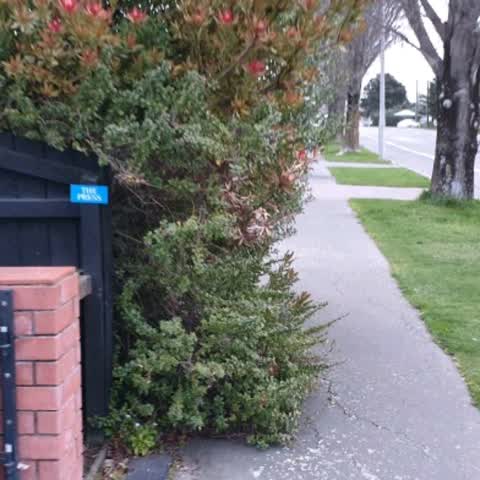 Roading/Streets, a report photo