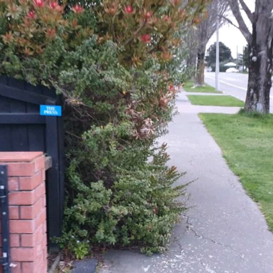 The photograph attached to this roading/streets report