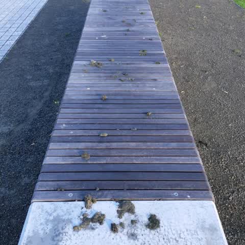 Parks, a report photo